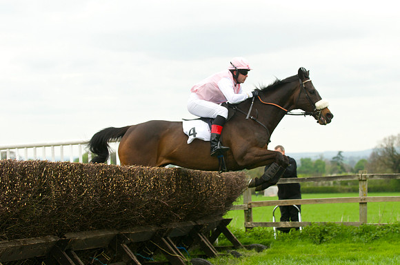 Race 4 - Nov-vets 38