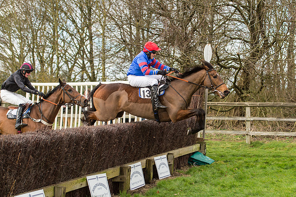Race 2 - Young Horse Maiden (80 of 110).jpg