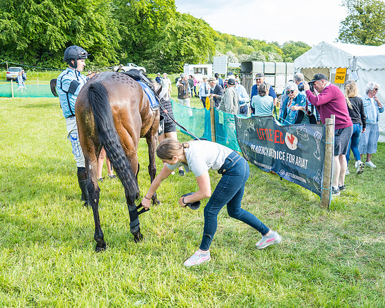 Race 6 - Open Maiden (289 of 346)