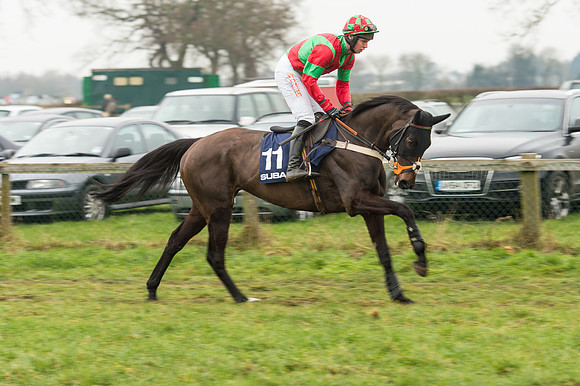 Race 5 - The Restricted Race (36 of 86).jpg