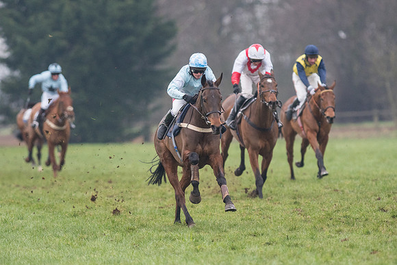 Race 7 - Young Horse Maiden  (43 of 64).jpg
