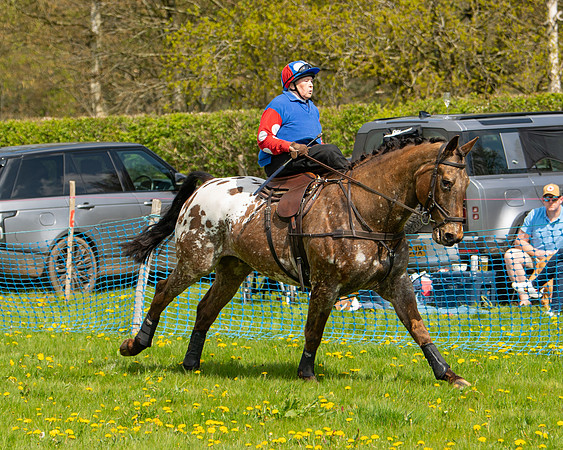 Ponies and Side saddle (66 of 69)