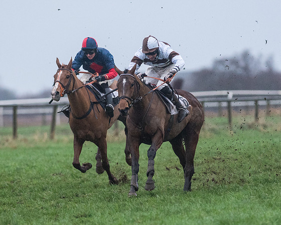 Race 8 - Young Horse Maiden  (65 of 85).jpg