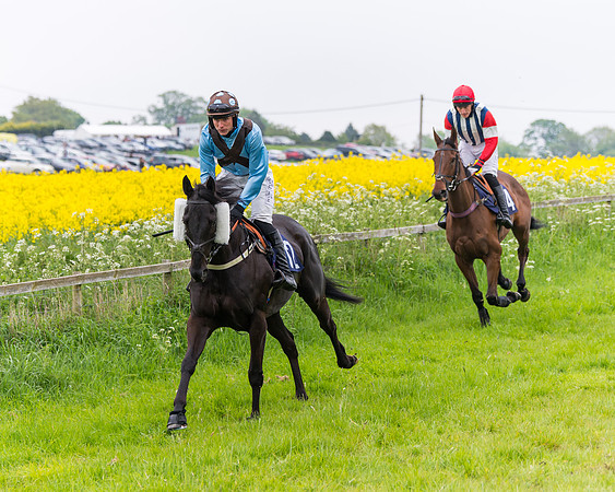 Race 6 - The Maiden [NWFAA] (18 of 143)