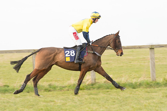 Race 6 Div 1 - Open Maiden  (12 of 116).jpg