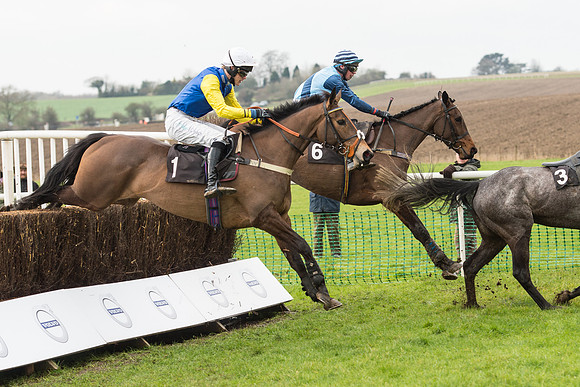 Race 1 - Young Horse Maiden (19 of 50).jpg