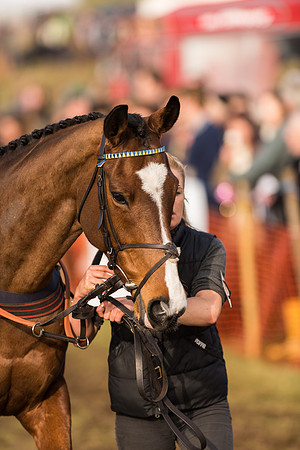 Race 4 - Novice and Veteran Riders (7 of 115).jpg