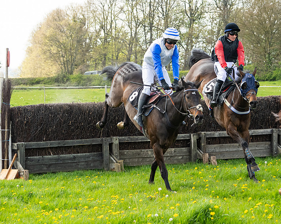 Race 2 - Veteran Horse  (69 of 82)