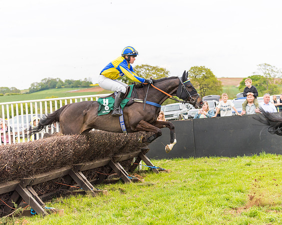 Race 7 - Veteran Horse conditions (110 of 244)