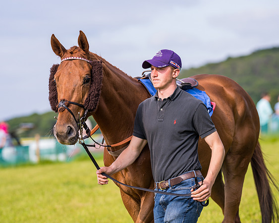 Race 6 - Open Maiden (31 of 346)