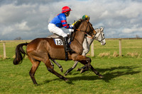 Race 2 - Young Horse Maiden (18 of 110).jpg