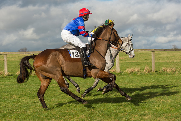 Race 2 - Young Horse Maiden (18 of 110).jpg
