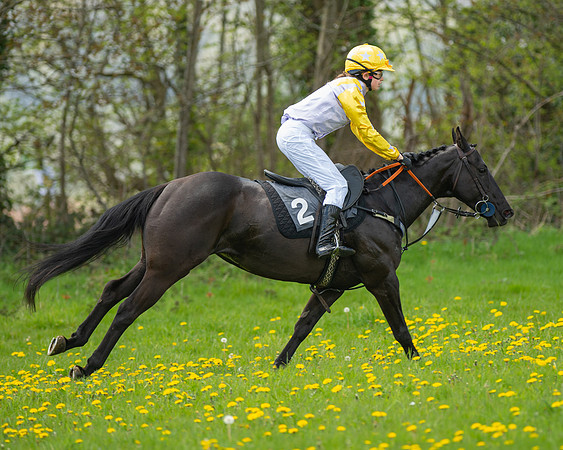 Ponies and Side saddle (50 of 69)