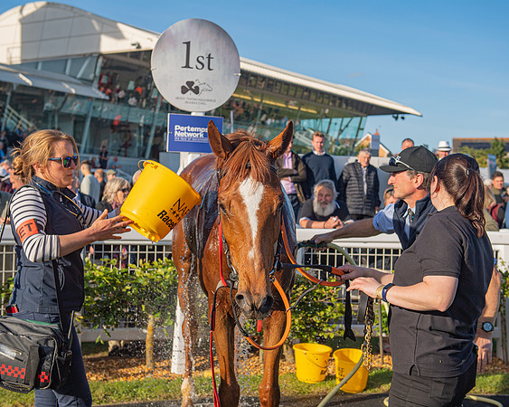 Race 3 - John Corbet Cup (78 of 88)