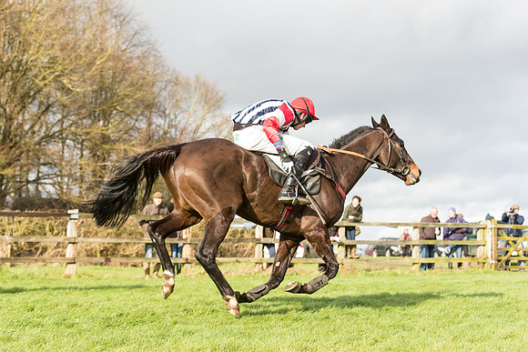 Race 3 - PPORA Members Novice Riders (62 of 84).jpg