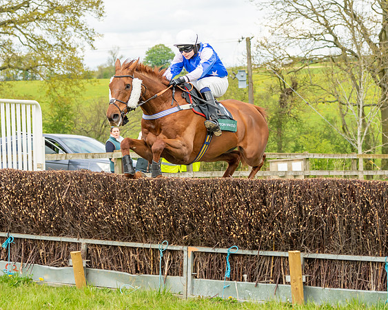 Race 2 - ROR and veteran Horse Conditions race (34 of 77)