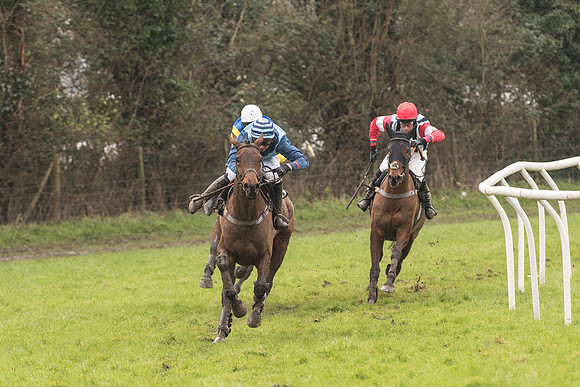 Race 1 - Young Horse Maiden (29 of 50).jpg