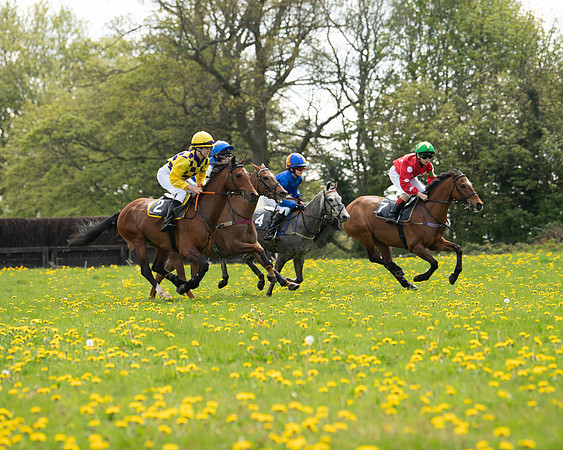 Ponies and Side saddle (8 of 69)