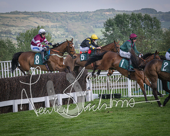Race 2 - The Venatour sports travel intermediate point to point hunters’ steeplechase 5 year olds and over 3m2f (49 of 163)