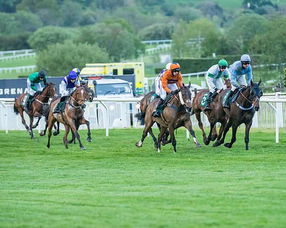Race 6 - Gabe Mahon Open  (190 of 516)