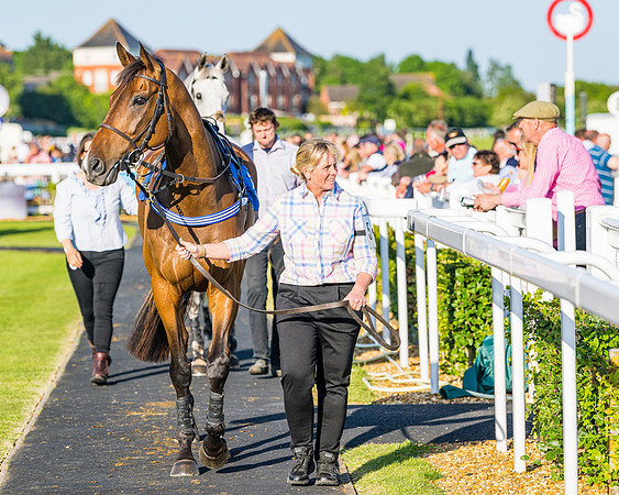 Race 4 - Foxhunters Championship (3 of 175)