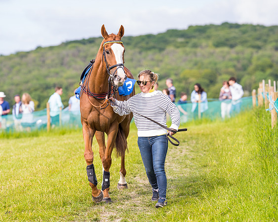 Race 6 - Open Maiden (7 of 346)