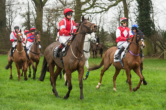 Race 5 - Ladies Open Race (36 of 119).jpg