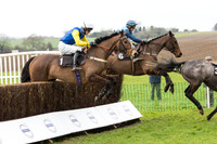Race 1 - Young Horse Maiden (18 of 50).jpg
