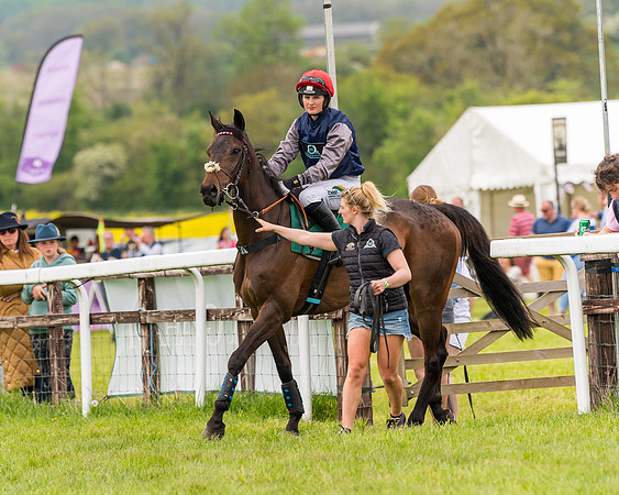 Race 7 - Veteran Horse conditions (84 of 244)