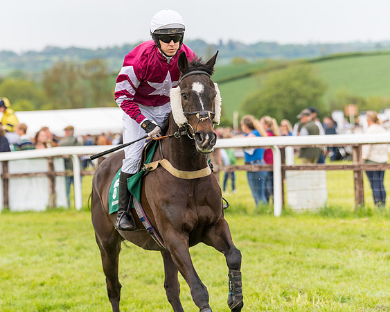 Race 7 - Veteran Horse conditions (72 of 244)