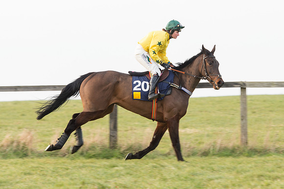 Race 6 Div 2 - Open Maiden  (42 of 131).jpg