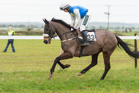 Race 6 - Open Maiden Race Div 2  (35 of 118).jpg