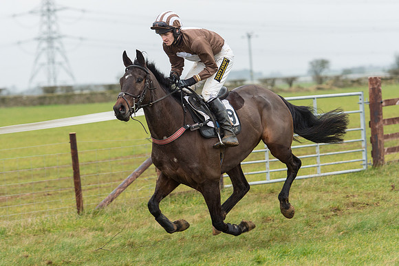 Race 6 - Open Maiden Race Div 1  (4 of 90).jpg
