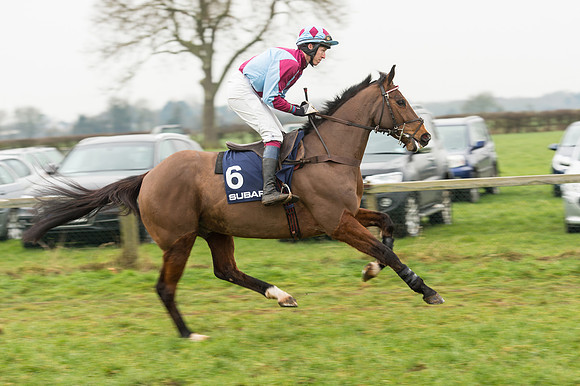 Race 5 - The Restricted Race (28 of 86).jpg
