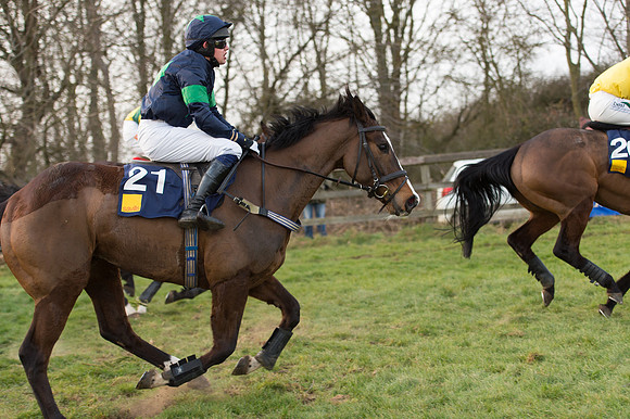 Race 6 Div 2 - Open Maiden  (112 of 131).jpg