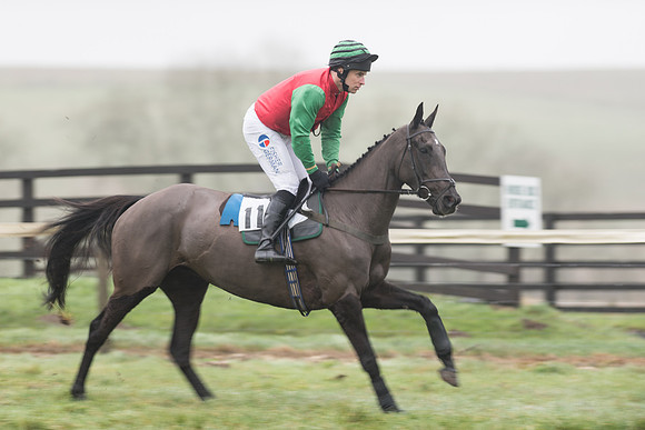 Race 5 - The Intermediate (11 of 59).jpg