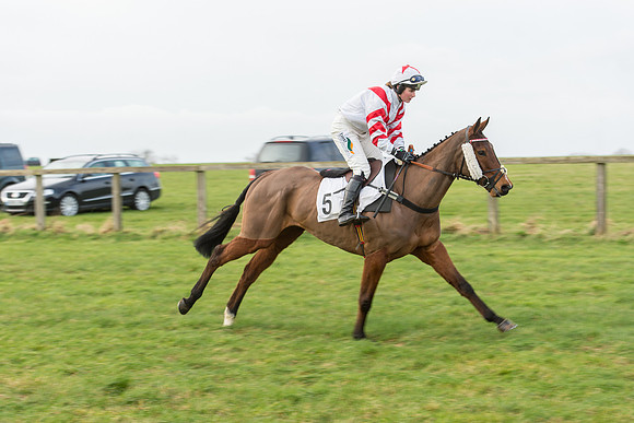 Race 6 - Restricted Race  (11 of 106).jpg