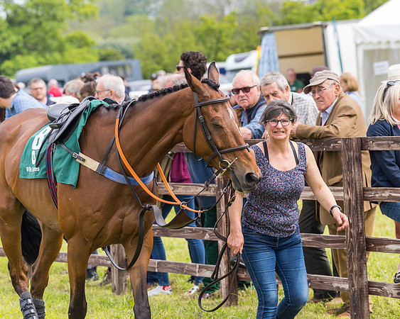 Race 2 - Owner-Trainer Conditions  (20 of 208)