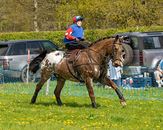 Ponies and Side saddle (65 of 69)