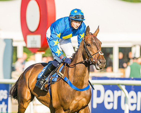 Race 3 - John Corbet Cup (27 of 127)
