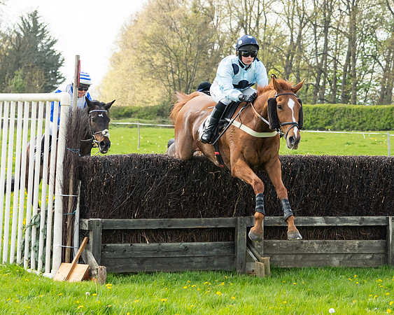 Race 2 - Veteran Horse  (60 of 82)