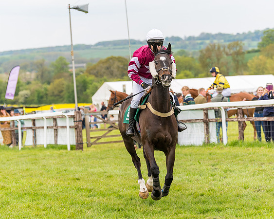 Race 7 - Veteran Horse conditions (70 of 244)