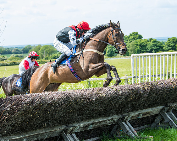 Race 1 - The Little Red owner Trainer conditions (231 of 345)