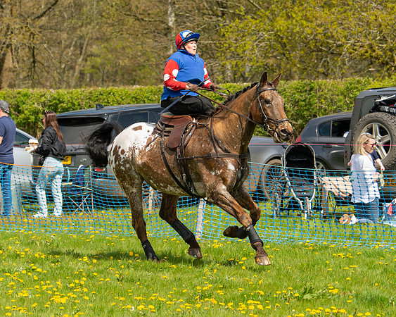 Ponies and Side saddle (63 of 69)