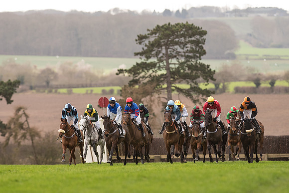 Race 2 - Young Horse Maiden (42 of 110).jpg