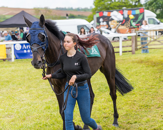 Race 7 - Veteran Horse conditions (33 of 244)