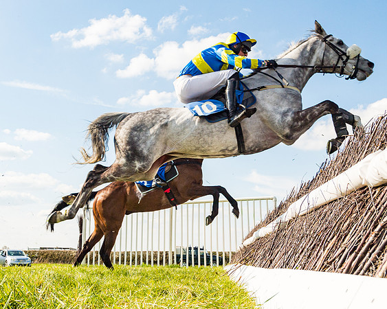 Race 4 - The Warehouse Reit Mixed Open Race  (50 of 124)