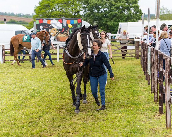 Race 7 - Veteran Horse conditions (14 of 244)
