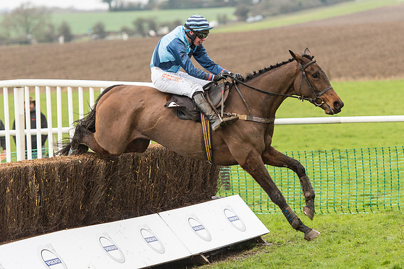Race 1 - Young Horse Maiden (39 of 50).jpg