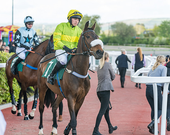 Race 3 - KTDA Open Hunter Chase (93 of 317)